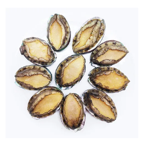 หอยเป๋าฮื้อทองแช่แข็ง - Product Image 5