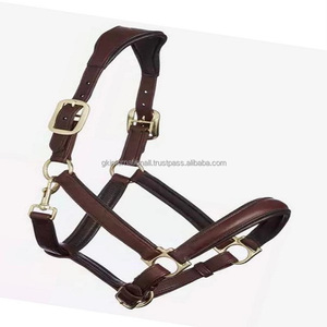 Equipo de equitación con soporte de latón o níquel, equipo fuerte y cómodo, negro o marrón, suave, acolchado, Anatomic, caballo, cuello halter - Product Image 1
