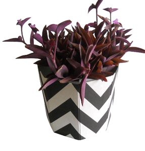 Pot de fleurs fait à la main en coton recyclé sans acide pour l'intérieur pot de fleurs décoratif pour jardin pot de plantes en gros - Product Image 1