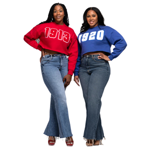 1920 estilo universitario Crop Crewneck sudadera suave polar azul recortado pulóver griego vida ropa para Zeta Phi Beta Sorority - Product Image 6