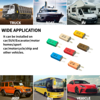 Fusible de Cuchilla Mini PTT para Automoción, Interruptor de Circuito T3 5A-30A, Reinicio Manual, Plástico, Capacidad de Ruptura de 10kA para Coche, Camión, Marino