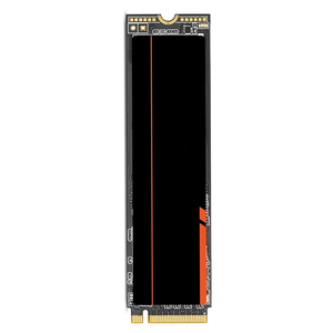 ZP1000GM3A013 1TB NVMe M.2 SSD |   Penyimpanan PCIe Ultra-Cepat untuk PC & Laptop untuk Server & Pusat Data - Product Image 6