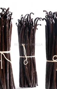 Planifolia Vanilla <b>Beans</b> - Gourmet Grade - Natural Finest Quality, Best Prices, Aromatic Rich Flavor Bulk Dried Origin Indonesia - Product Image 3