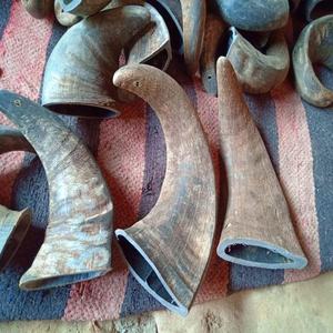 Alimento Seco Premium Ecológico Hecho a Mano con Cuerno de Búfalo de Agua Tratado, Sin Granos y Alto en Proteínas para Gatitos, Cachorros, Peces y Animales Pequeños - Product Image 3