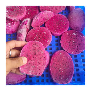 Fruit du dragon lyophilisé tropical du Vietnam-Fruit du dragon avec saveur douce, couleur vive et certifications biologiques - Product Image 1