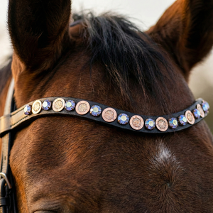 Banda Decorativa Premium para Caballo, Cuero Negro Curvado con Cristales Transparentes y Dorados Alternados, Tamaño Personalizado, Certificado A+ - Product Image 1