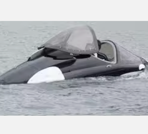 AUTOPARK CALIDAD CALIENTE 2023 / 2024 Fábrica Seabreachers Z Sumergible Watercraft - Product Image 3