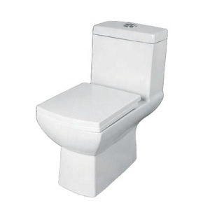 Nouveau Style américain moderne Wc salle de bain moderne 300mm sangle monté au sol en céramique siphonique chasse d'eau une pièce siège de toilette à bas prix - Product Image 3