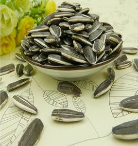 Graines de tournesol de la meilleure qualité à vendre en gros / Noyaux de tournesol de haute qualité, graines de tournesol biologiques originales de Belgique - Product Image 4