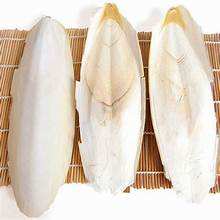 BOOSTER DE CALCIO LIMPIO DE HUESO DE SEPIA DERIVADO MARINO PARA LA SALUD DE LAS AVES APOYO INMUNE Y FUENTE NATURAL - Product Image 6