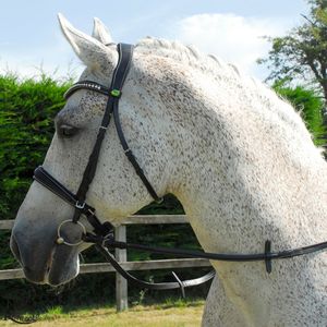 Bride anatomique en cuir italien Rhinegold Bride anatomique Cavesson Noseband Poll Comfort Headpiece New Horse Anatomical - Product Image 3