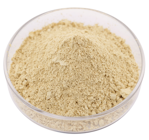 Sıcak satış <span class=keywords><strong>Echinacea</strong></span> <span class=keywords><strong>Purpurea</strong></span> çiçek özü 4% polifenoller tozu - Product Image 2