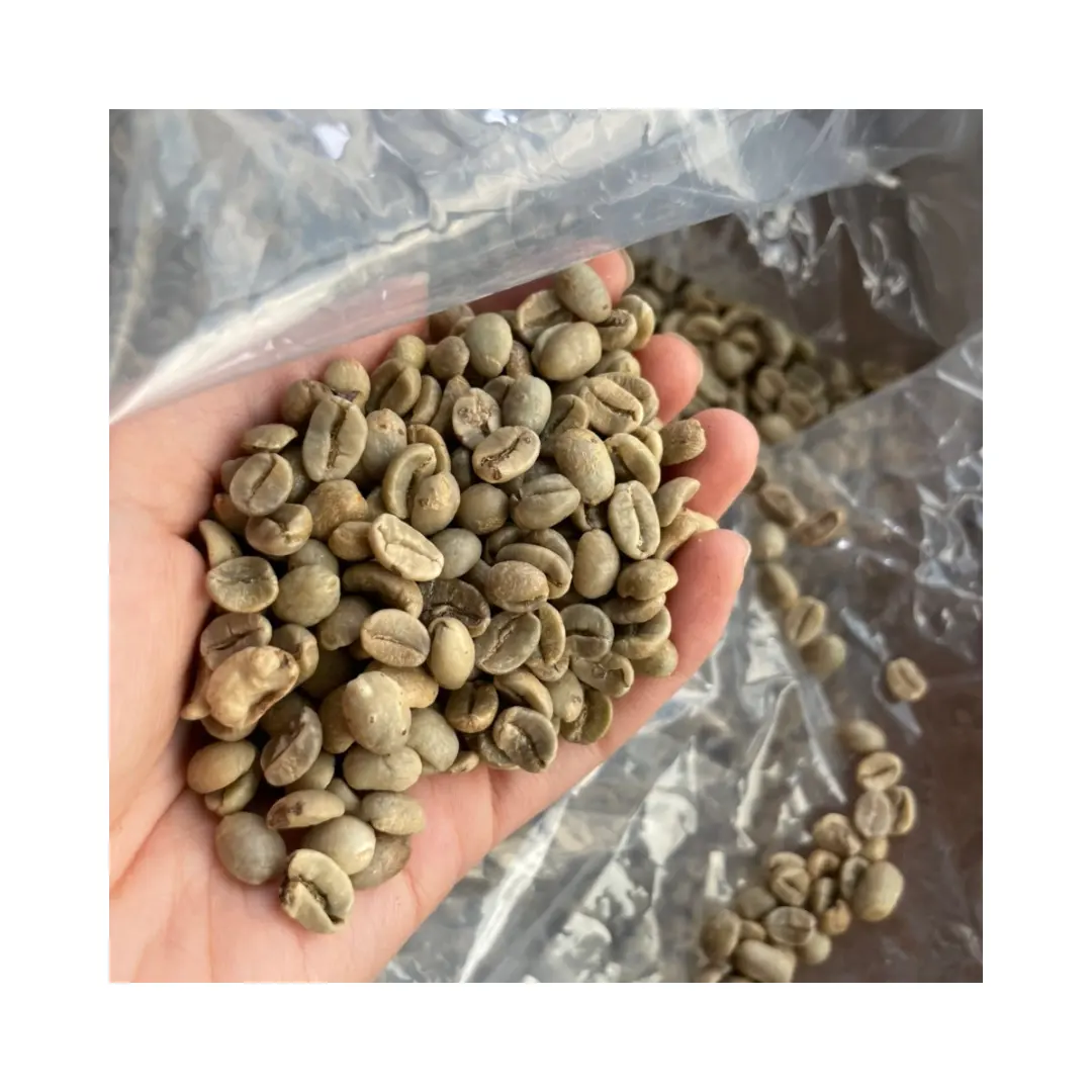 Caffè vietnamita prezzo di fabbrica crudo chicco di caffè di alta qualità chicchi all'ingrosso di marca Custom chicchi di caffè arabica e robusta borsa