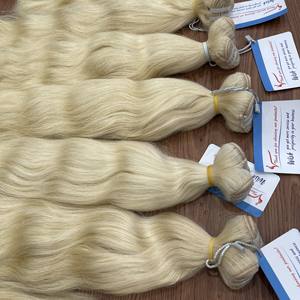 Couleur blonde Thanh An-Marque de fournisseur en extension de cheveux de trame de cheveux vierges humains vietnamiens Extensions de cheveux humains - Product Image 1