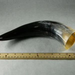 Best Quality Viking Drinking Horn at Low Price for Medieval with Multiple Functions Horn bar Hotel for Christmas Occasion - Product Image 1