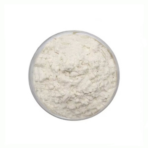 <span class=keywords><strong>Salus</strong></span> 100,000ALU/G Polvo de Enzima Lactasa Blanca, Aditivos Alimentarios Premium con Certificación ISO - Product Image 6