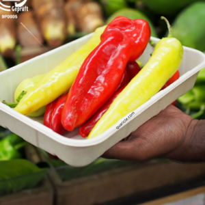 Vente en gros élégant plateau intelligent 2D design rectangle écologique fait bagasse de canne à sucre pour hôtels événements voyage camping - Product Image 6