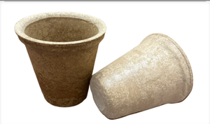 Máquina para hacer tazas de té biodegradables de 30 cavidades, equipo de formación automática para producción desechable ecológica - Product Image 2