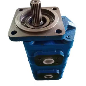 Pompe à engrenages hydraulique HuamaoJCB 3CX 333/G5390 Parker 7029120077 7029122021 - Product Image 5