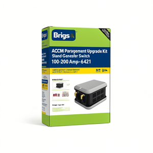 ชุดอัพเกรดระบบจัดการพลังงาน Briggs & Stratton ACCM - สวิตช์โอนถ่ายมาตรฐาน 100-200 แอมป์ - 6421 - Product Image 1