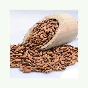 Good Quality Top Selling Pine Nuts Chilgoza Available In Custom Packing Organic pine nuts pine nuts kernels cheap price Organic