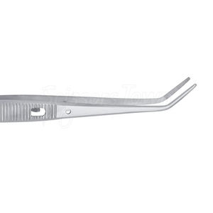 Pinzas Elásticas Dentales para la Colocación Segura de Separadores Durante la Preparación de Ortodoncia - Product Image 5