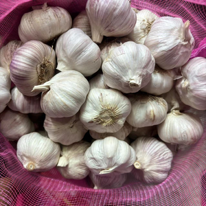 <b>fresh</b> <b>garlic</b> supplier - Product Image 1