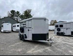 Remolque económico para 2 caballos en venta - Product Image 4