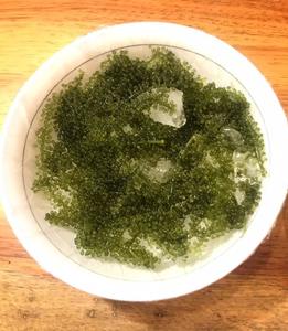 Uvas de Mar Deshidratadas, Algas Marinas de Origen Vietnamita para Comercio Internacional - Product Image 2