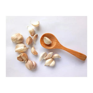 Ajo Blanco Normal Fresco Orgánico de Bélgica, 12 Meses de Duración - Product Image 2