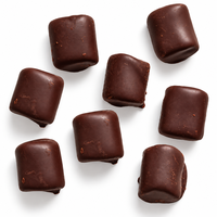 Bonbons au chocolat fourrés à la guimauve, marque privée, en sachets individuels, prêts à la vente au détail, fournisseur en gros de marques personnalisées