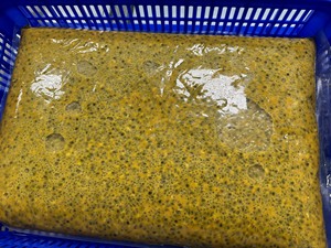 Purée de fruit de la passion surgelée VDELTA Direct Factory |   Origine du Vietnam - Product Image 6