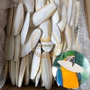 100% hueso de sepia seco Natural para pájaros y reptiles hueso de Sepia muy alto en calcio para mascotas Origen de Vietnam - Product Image 1