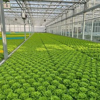 Intelligente slimme glazen kas voor modern landbouwproject met op afstand gelegen monitoring en automatische besturingssystemen