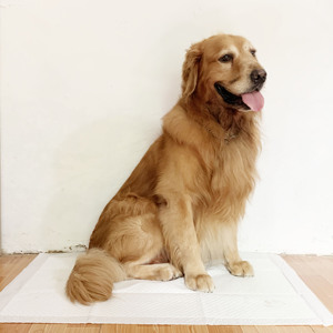 Gran oferta, 60x60, 60x90, almohadillas impermeables para cachorros, alfombrillas absorbentes desechables de <span class=keywords><strong>Walmart</strong></span>, almohadillas para perros de secado rápido, almohadillas para mascotas al por mayor - Product Image 5