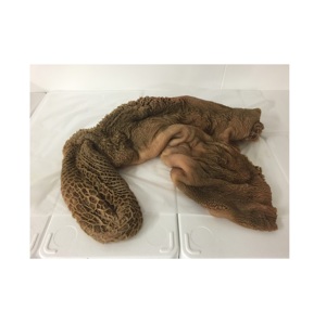 ไส้กรอกวัวเขียวดิบคุณภาพเยี่ยมจากเบลเยียม จำหน่ายขายส่งออนไลน์ - Product Image 1