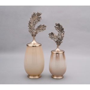 High Quality Glass Jar with Detachable Metal Feather Lid Home Decor Food Storage Container Trending Display Tabletop Jars & <b>Pot</b> - Product Image 2