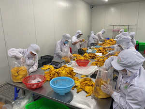 Mangues séchées douces du Vietnam, export en vrac, naturelles, sucrées, moelleuses, collations saines, prix d'usine - Product Image 6