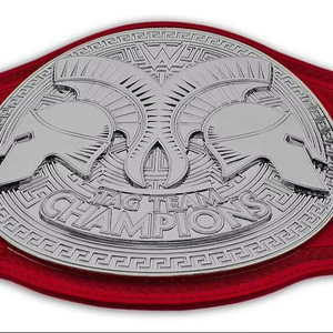Ceintures de championnat de lutte Trophées Médailles et récompenses le symbole ultime de la victoire et de l'excellence Ceintures de championnat - Product Image 1