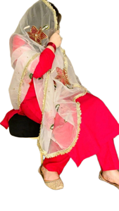 Royal Tone Blue Customizable Color <b>Net</b> Dupatta Elegant Traditional Design Durable Breathable Lightweight Long Scarf for Classy - Product Image 3