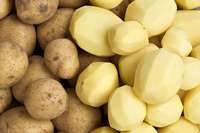 (Solanum Tuberosum) Verse Ierse lange aardappelen - Merk Export Groothandel tegen beste prijs 12 maanden houdbaarheid Te koop