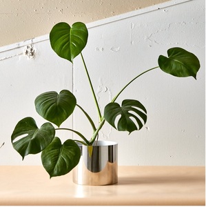 Venta al por mayor cilindro redondo de metal sobre mesa maceta decorativa y jarrón acabado brillante para plantas decoración de la boda venta - Product Image 2