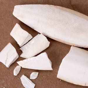 Hueso de sepia secado al sol de primera calidad, juguete para masticar pájaros de alta calidad, huesos de sepia de pescado seco para mascotas exportadas desde Vietnam - Product Image 4