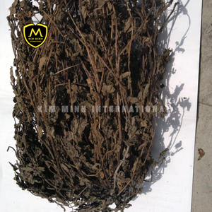 MESONA CHINENSIS PREMIUM |   Feuilles de gelée d'herbe séchée du Vietnam - Product Image 2