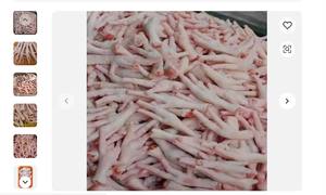 Patas de Pollo Congeladas / Patas de Pollo Congeladas para Exportación a China - Product Image 6