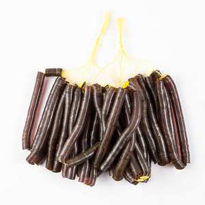 Plain <b>Sequin</b> Metallic Color, Selanusa - Product Image 1