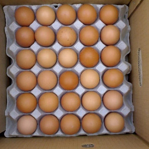 ไข่ไก่สีน้ำตาลสด/ไข่ไก่สดไก่ในฟาร์ม - Product Image 1