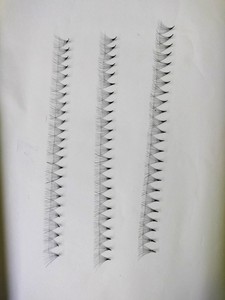 Nhu Y Eyelash NY12D Ventilador de volumen hecho a mano Extensiones de pestañas 12D B C CC D L M Curl Mix Longitud Sintético VN Lash Tray para la belleza - Product Image 4