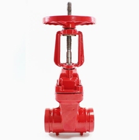 Équipement de lutte contre l'incendie de prix usine Type de rainure DN50-DN200 Vanne de porte de cale de tige montante