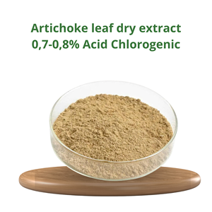 Les fabricants vendent des extraits secs de feuilles d'artichaut de haute qualité (acide chlorogénique de 0,7 à 0,8%) pour favoriser la santé du foie - Product Image 2